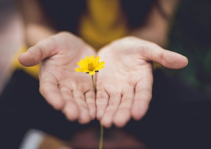 selective focus photography of woman holding yellow petaled flowers