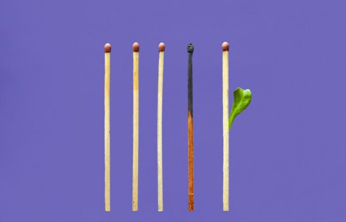 brown wooden sticks with green leaf