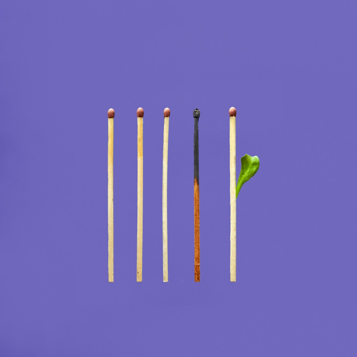 brown wooden sticks with green leaf