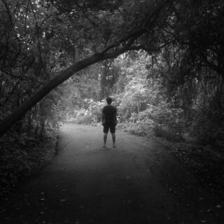 a person walking down a path in the woods