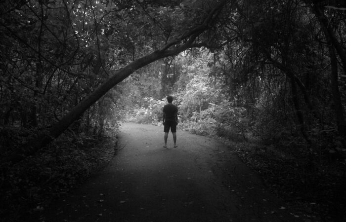 a person walking down a path in the woods